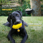 EASTBLUE Squeaky Dog Toys for Aggressive Chewers: Rubber Puppy Chew Ball with Squeaker, Almost Indestructible and Durable Pet Toy for Medium and Large Breed