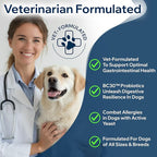 Dog Probiotics for Yeast, Itchy Skin and Itchy Ears, Allergy Relief, Daily Immune Support with Prebiotic & Digestive Enzymes (Gut Health) for Dogs, Reduce Diarrhea, Constipation & Gas Relief - 90ct