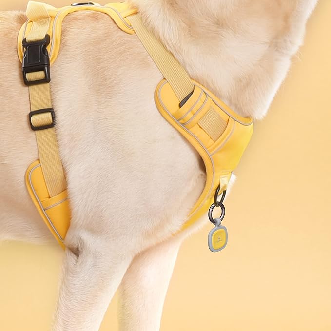 Pawaii QR Code Pet ID Tag, Silent Silicone Dog ID Tag, Modifiable Pet Online Profile, Free Online Pet Page Emergency Contact, Scan QR Receive Instant Pet Location Alert Email, 1Pack (Yellow)