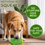 No Stuffing 3 Pack Squeaky Dog Toys- 2 in 1 Interactive Plush Dog Toy- Cactus Shaped Rip and Reveal Toy for Puppies- Perfect for Indoor & Outdoor Play- Training & Toss & Play