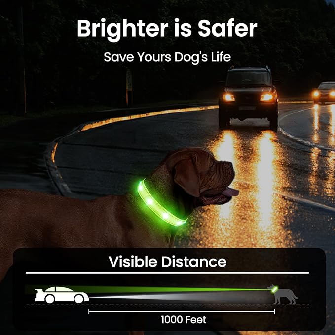 MASBRILL Light Up Dog Collars-RGB Led Collar for Dogs Rechargeable Lighted Dog Collar Water-Resistant Colorful Glow in The Dark Dog Collars for Night Walking