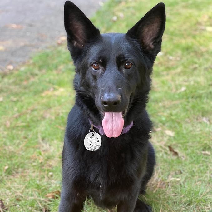 MYLUCKYTAG QR Code Stainless Steel Dog ID Tag, Dog Collar Tag with Engraved Pet Profile, Pet Location Alerts by Email