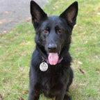 MYLUCKYTAG QR Code Stainless Steel Dog ID Tag, Dog Collar Tag with Engraved Pet Profile, Pet Location Alerts by Email