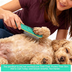 Professional Flea Comb for Long Haired Dogs & Cats - 3-Row Stainless Steel Dematting Tool with Negative Ions | Detangling Comb for Poodles Includes Cleaning Brush