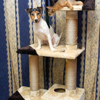 Sisal Rope 6mm for Cat Scratcher Repair and Replace Cat Scratching Post, DIY Scratching Furniture - Cat Tree, Scratch Carpet & Mat, Cat Kicker Toys, Natural Jute 98ft/30m