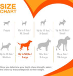 Nylabone Broccoli Power Chew Toy for Dogs, Dog Toys for Aggressive Chewers, Bacon & Cheese Flavor, Large Dogs - Up to 50 lbs, 1 Count