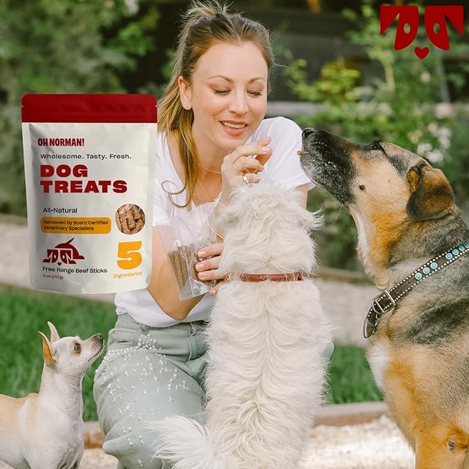 OH NORMAN! Soft Beef Jerky Dog Treats by Kaley Cuoco, Healthy Dog Treats, All Life Stages and Breeds, Air Dried, Ethically Sourced Free Range Beef,6 Oz