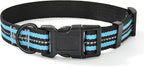 Mile High Life Reflective Dog Collar | Nylon Pet Collars wiith Buckle | Light Weight Puppy Collars | Light Blue Dog Collars for Medium Dogs (Light Blue, M)
