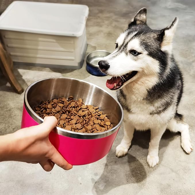 LIHONG Stainless Steel Dog Bowls for Small Medium Sized Dogs Non Slip,Insulated Dog Bowl,Pet Bowl for Food and Water,Rustproof(40oz,Pitaya Pink)