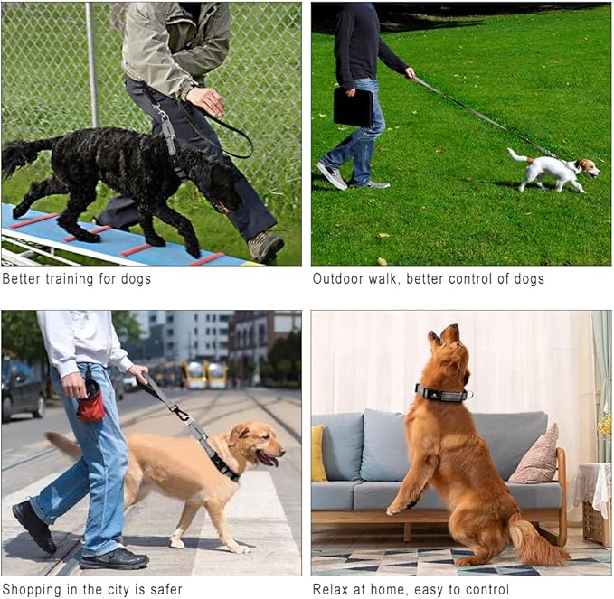 Plutus Pet Reflective Martingale Collar with Buckle - Durable and Adjustable Training Collar for No Pulling, Dog Choker Collar for Small Medium Large Dogs, Gray, XS