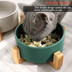 Petygooing Ceramic Dog Cat Bowl Set with Stand,Small Dog Bowls,Food and Water Dishes, Cute Modern Anti Slip Set of 2 Pet Food Dish- Small Size Pet (13.5OZ/5.1 in) Green