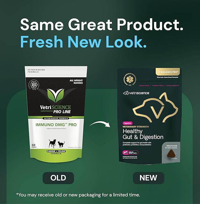 VetriScience Veterinary Strength Healthy Gut & Digestion - Pet Digestive Health Supplement for Cats & Dogs - Gut Health & Immune Support - Features Probiotics, Prebiotics & Postbiotics - 60 Count