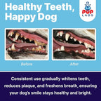 All-Natural and Expert-Formulated Dental Powder for Dogs, Dog Dental Supplement for Healthy Teeth and Against Leaky Gums for Dogs 12+ Weeks, Made in The USA with The Standards, 28 Serv