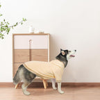 BINGPET Dog Hoodies - Fleece Lined Fall Dog Puppy Sweatshirt Soft Warm Sweater Winter Hooded Clothes for Small Medium Large Dogs & Cats