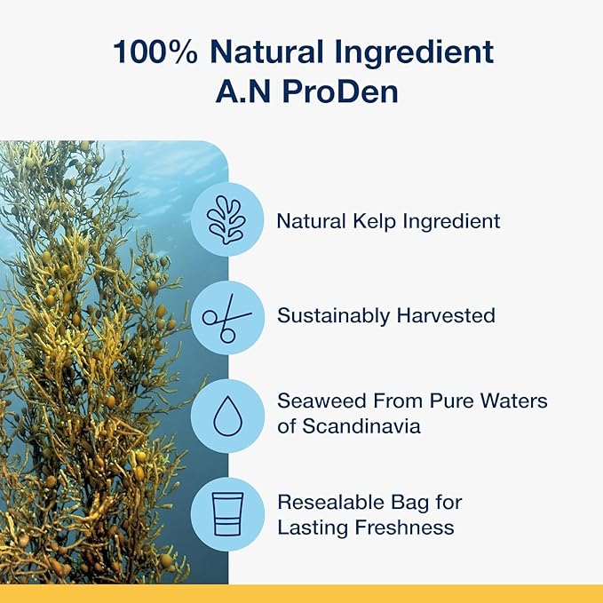 ProDen PlaqueOff System Dental Care Bones - Dog Teeth Cleaning Bones for Oral Hygiene -Medium/Large Canine Formula - Bacon Flavor -17 oz(Packaging May Vary)