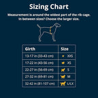 Ruffwear, Front Range Dog Harness, Reflective Soft Padded Everyday Harness with Dual Leash Clips, Adjustable and Lightweight Fit for Training or Walking for All Dogs, Blue Pool, Small