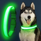 YFbrite Light up Dog Collar, USB Rechargeable LED Puppy Collar Super Bright Adjustable Glowing Dog Lights for Night Walking (Design 2-Green, Small)
