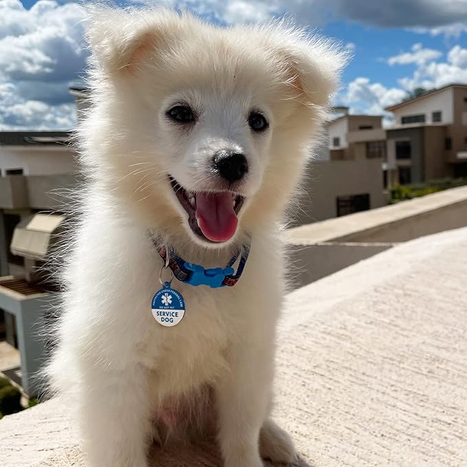 MYLUCKYTAG QR Code Stainless Steel Service Dog Tag - Engraved Digital ID, Location Alert