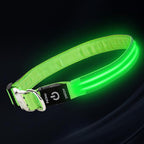 LED Dog Collar with Metal Buckle - USB Rechargeable Glow Collar for Dogs, Waterproof Light Up Dog Collar w/Reflective Strips - Adjustable Night Safety Collars by PetIsay(Green,Medium)