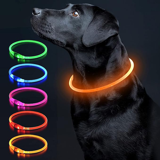 Colaseeme LED Dog Collar, Light Up Dog Collar 1 Count USB Rechargeable TPU Glow Safety Dog Necklace Light, Dog Lights for Small Medium Large Dogs, Please Do Not Use Fast Charging (Orange)