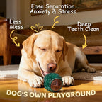Dog Treats & Chew Toys: Long-Lasting Interactive Dog Toys to Keep Them Busy, Tough Dog Dental Chew, Enrichment Cognitive Healthy Ball Gift for Small Medium Large Breeds, Beef Flavor, Green