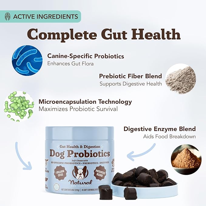 Natural Dog Company Gut Health & Canine Specific Probiotics Chews, 1 Daily Chew for All Dogs, Prebiotics & Digestive Enzymes for Digestion, Gas, Loose Stool, Immune System & Bowel Support, 45 Ct