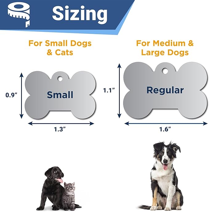 GoTags Stainless Steel Bone Dog Tag with Color Outline and Paw Print, Personalized Pet ID Tag for Dogs and Cats, Custom Engraving with up to 5 Lines of Text on Both Sides (Green, Regular)