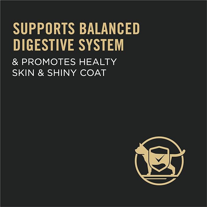 Purina Pro Plan Sensitive Skin and Stomach Cat Food, Lamb and Rice Formula - 22 lb. Bag