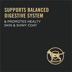 Purina Pro Plan Sensitive Skin and Stomach Cat Food, Lamb and Rice Formula - 22 lb. Bag