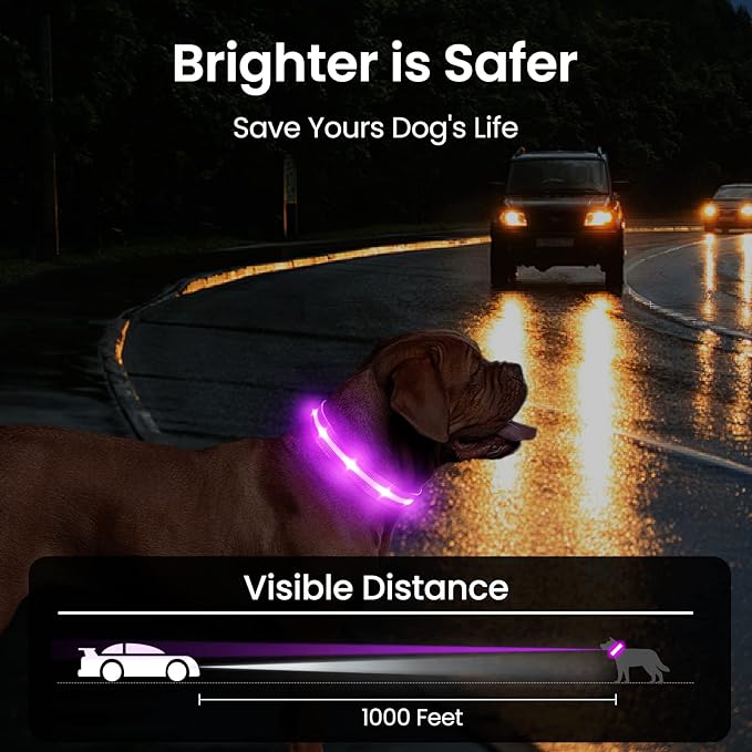 MASBRILL Light Up Dog Collars-RGB Led Collar for Dogs Rechargeable Lighted Dog Collar Water-Resistant Colorful Glow in The Dark Dog Collars for Night Walking