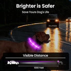 MASBRILL Light Up Dog Collar - RGB LED, Rechargeable, Water-Resistant Glow Up Night Walking Collar for Small to Large Dogs