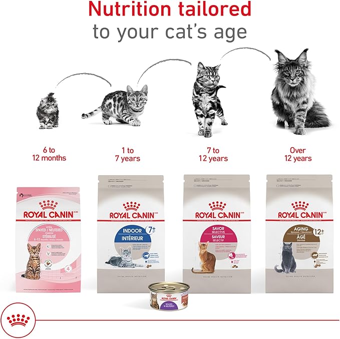 Royal Canin Appetite Control Spayed/Neutered 12+ Dry Adult Cat Food, 7 lb bag