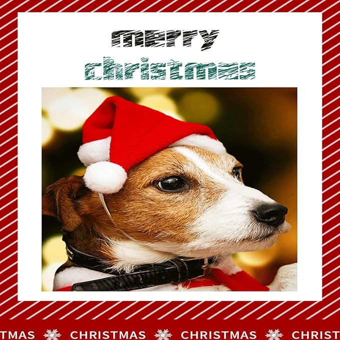 Christmas Cat Costume - Santa Hat Outfit for Small Dogs & Cats | Festive Pet Santa Suit with Red Velvet Cape & Bell | Cute Xmas Holiday Costume Accessories (Red, Small)