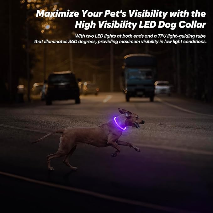 BSEEN Light Up Dog Collar, Rechargeable LED Puppy Collar Waterproof Glowing Pet Collar TPU Cuttable Lighted Dog Collar for Small Medium Large Dogs (Purple (70cm))
