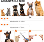 BSEEN Light Up Dog Collar - Rainproof LED Dog Collar Rechargeable - TPU Cuttable Glowing Pet Collar for Small Puppies& Cats, Safety Dog Lights for Night Walking& Camping (XS- Orange 40cm)