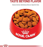 Royal Canin Golden Retriever Adult Dry Dog Food, 17 lb Bag