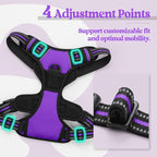 rabbitgoo Dog Harness No Pull with 2 Leash Clips, Adjustable Soft Padded, Reflective Oxford No Choke Pet Vest with Easy Control Handle for Large Dogs, Purple, XL