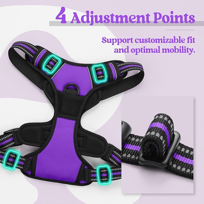 rabbitgoo Dog Harness No Pull with 2 Leash Clips, Adjustable Soft Padded, Reflective Oxford No Choke Pet Vest with Easy Control Handle for Medium Sized Dogs, Purple, M