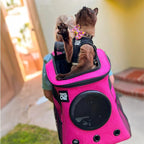 Fat Cat Backpack Carrier - Airline Approved Cat Carrier with Space Capsule Bubble for for Small Cats, Kitten - Premium Deep Rose Pink Cat Carrier Backpack for Outdoor, Travel, Hiking, Pet Supplies