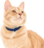 Break Away Collar for Cats - Soft, Thin, and Lightweight Safety Buckle Collar with Name Tag Ring for Outdoor Cats and Sensitive Skin Kittens by Nuvuq (6 ⅞" to 10 ¼", Dark Blue)