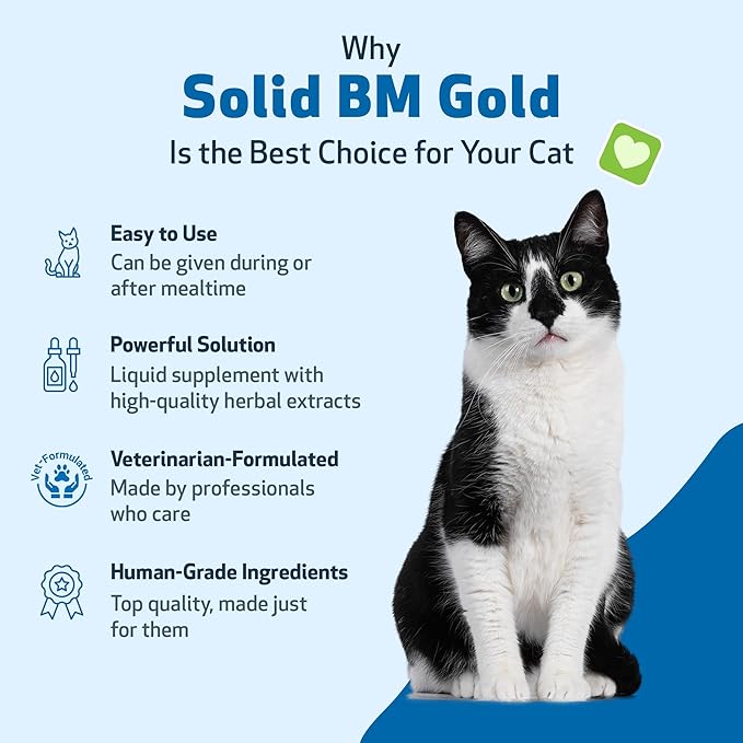Pet Wellbeing Solid BM Gold for Cats - Supports Healthy Digestive Function, Solid Stools, Normal Bowel Movements, Bayberry - Veterinarian-Formulated Herbal Supplement 4 oz (118 ml)