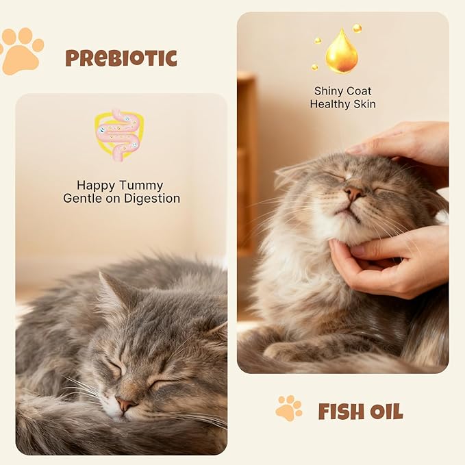 M-PETS Rich Salmon & Omega-3 Lickable Cat Treat – 20 Tubes of Healthy Squeeze Up Creamy Snacks with Functional Nutrients & Beta-Carotene for Immune, Skin & Coat Support – Grain Free, High Protein