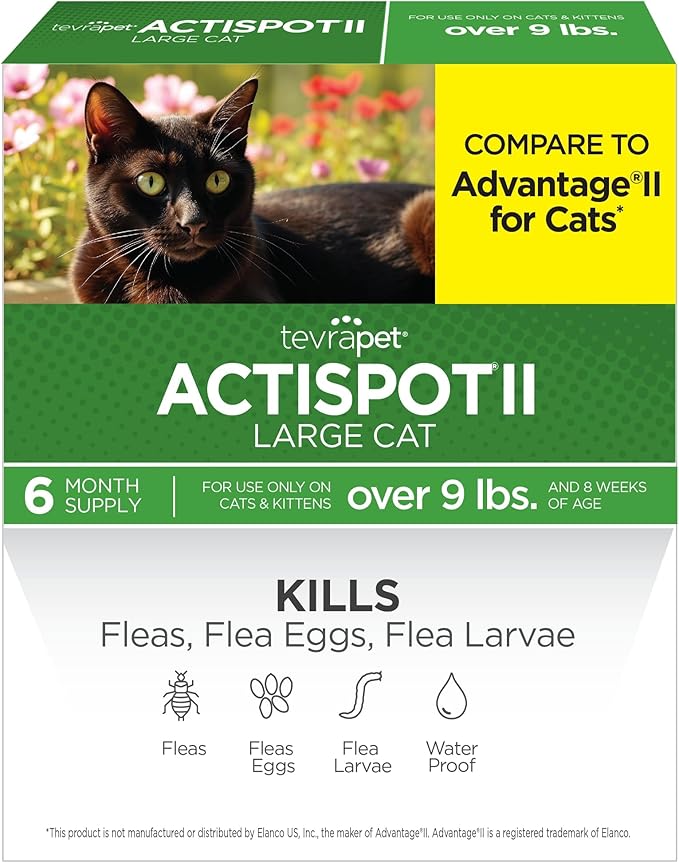 TevraPet Actispot II Flea Treatment for Large Cats 9+ lbs | 6 Doses | Powerful Prevention and Control