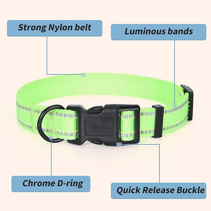 Mile High Life Nylon Night Light Glow Collar, Reflective Light Up Dog Collar, Fluorescent Self-Luminescent Strap for Small Medium Large Dogs (Lime, L Neck15-19")