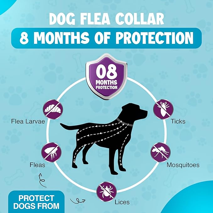 Dog Flea Collar 2 Pack 8-Month Protection, All Natural Flea Collar for Dogs, Includes Flea Comb, Shell Comb, Tick Tweezers & Tick Removal Tool 5-in-1 Dog Flea Protection Kit