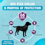 Dog Flea Collar 2 Pack 8-Month Protection, All Natural Flea Collar for Dogs, Includes Flea Comb, Shell Comb, Tick Tweezers & Tick Removal Tool 5-in-1 Dog Flea Protection Kit