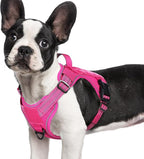 rabbitgoo Dog Harness Small Sized No Pull, Tactical Service Pet Vest with Molle and Control Handle, Adjustable and Reflective Military Harness for Easy Walking and Training, Rose Red, S
