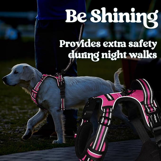 rabbitgoo Dog Harness Small Sized, No Pull Pet Harness with 3 Buckles, Adjustable Soft Padded Vest with Control Handle, Walking Reflective Pet Vest for Small Dogs, Rose Pink, S