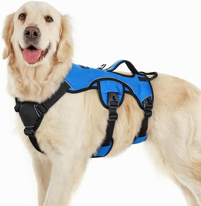 rabbitgoo Escape Proof Dog Harness, Soft Padded Full Body Pet Harness, Reflective Adjustable No Pull Vest with Lift Handle and Leash Clip for Large Dogs Walking Hiking Training, L, Blue