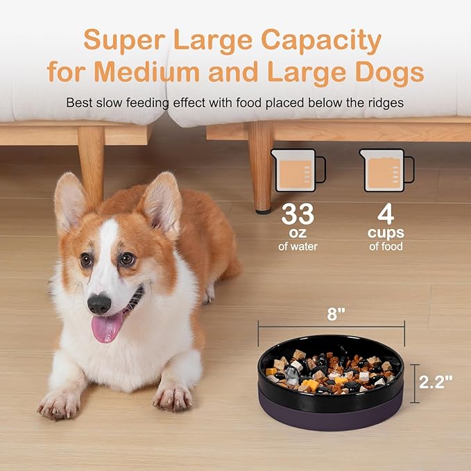 Sted Ceramic Slow Feeding Dog Bowl with Silicone Base, Small Medium Breed, Slow Down Eating, Puzzle Dog Food Bowl, Maze Black